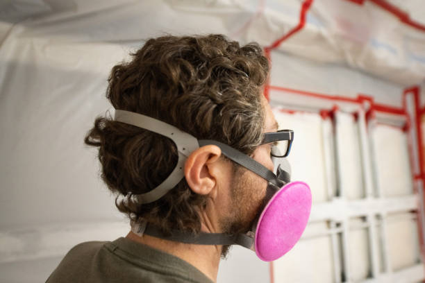Best Industrial Mold Remediation  in Bloomingdale, FL