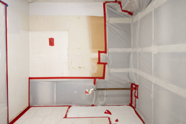 Best Mold Remediation for Rental Properties  in Bloomingdale, FL