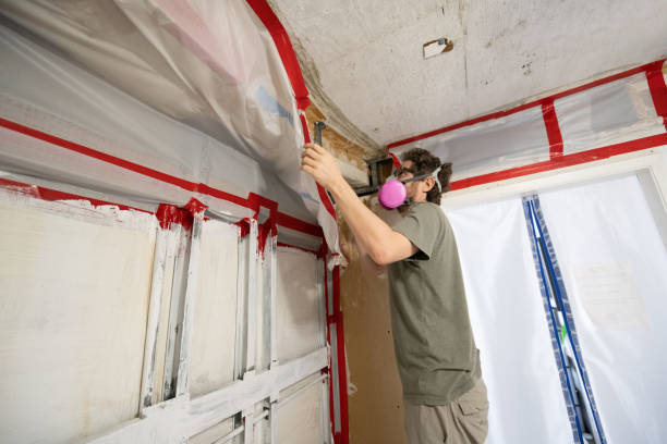 Bloomingdale, FL Mold Removal Company