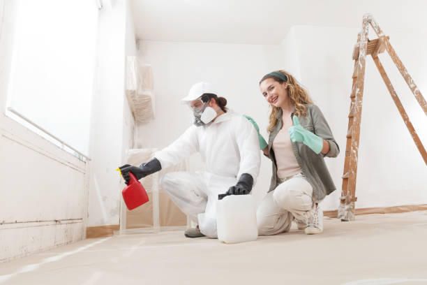 Mold Documentation for Insurance Claims in Bloomingdale, FL